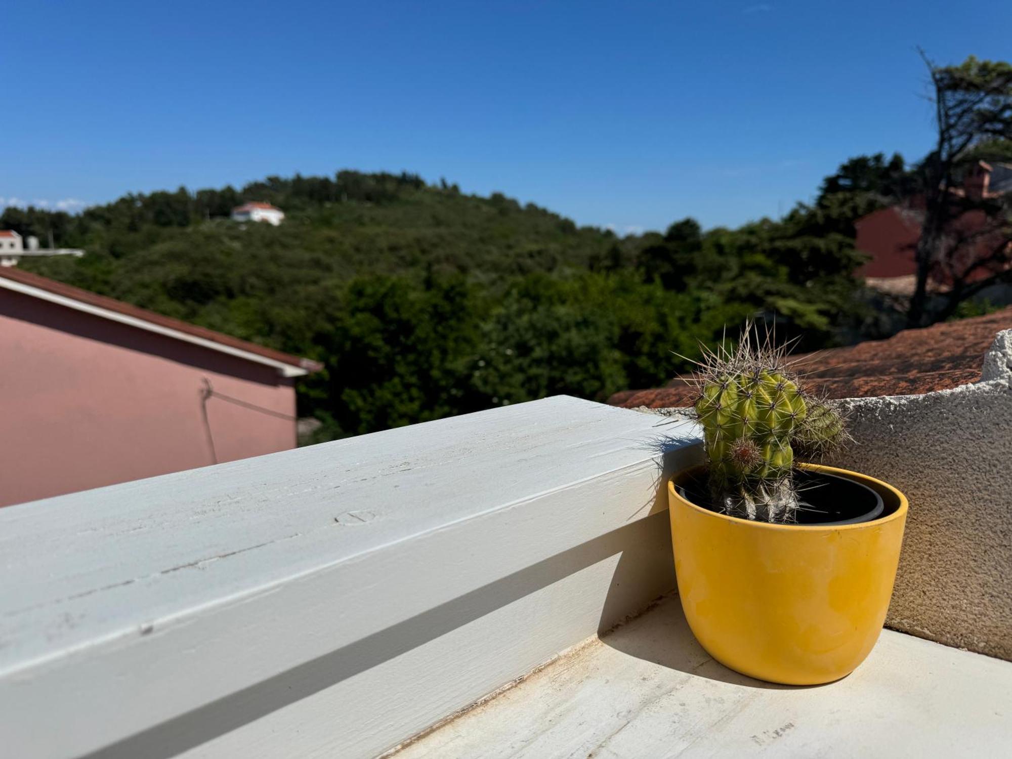 Studio Lorena Mali Lošinj Kültér fotó