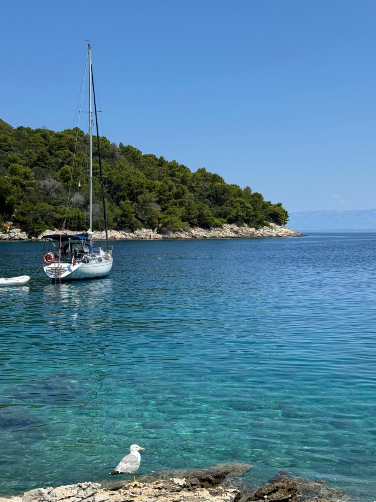 Studio Lorena Mali Lošinj Kültér fotó